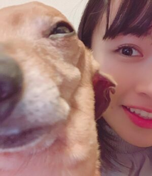Haruka Momokawa Instagram - 1月21日私が、11歳の頃から飼ってた愛犬のソラが
18歳で虹の架け橋を渡りました🌈

この何日間か、ソラの動画や写真をみてばっかり。

でもね、寂しいけど…
可愛くて愛おしくて笑えちゃうくらい
いい思い出しかなくて。

ソラは1人が大っ嫌いだったんだけど、最後もお父さんとお母さんがいてお母さんに抱っこされながら眠るようだったとの事で苦しまずに最後を迎えてもらえたから良かったなと。

小学生の頃携帯持ってなかったから小さい頃の写真が少なくて悔しいけど、本当に一生かわいかった。

私の人生半分以上一緒にいてくれてありがとう。

この先もずっとソラのこと大切に大事に想って
生きていこうと思います！ありがとう！！！！！！！

 #愛犬