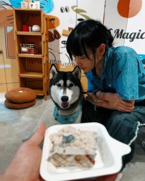 Hedwig Tam Sin-Yin Instagram - 年尾回顧電話的影片
特此出賣自己

1.櫻花之國
2.攝於腳痊癒後
3.中二病
4.食物利誘
5.無論如何都是女車手
6.無人發現
7.永遠輸比renci的我
8.奶雯
9.無法拒絕家姐送我的兩個蛋糕
10.有心人士怕我在養傷期怕我悶死之浴缸中授課
