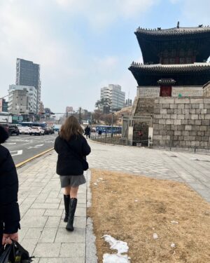 Hiccorohee Instagram - 美紀とソウル
「買い物したいからショッピング街のある東大門ついてきて」と言われて
ついてったらショッピング街でもなんでもないほんまの門みたいなんに着いた日
@inadamikisan