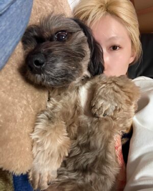 Ikumi Nakajima Instagram - 毎日死んで、毎日産まれまひょ❤️
得手不得手もありゃしまへん、
やるかやらんかですやんか❤️