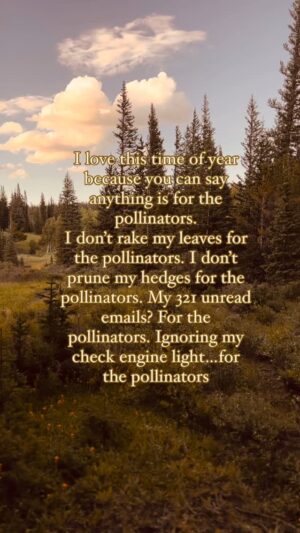 Indy Srinath Instagram - Everything I do, I do for the pollinators 🐝 🦋 
.
.
#pollinators #plantlover