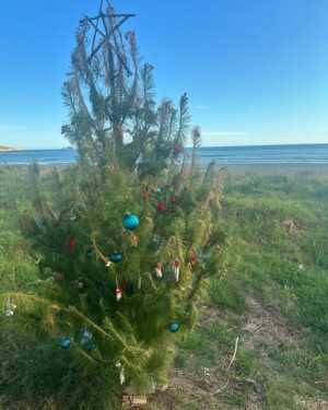 Jacinda Ardern Instagram - LOVED being home over summer. Full of family time, sun (some times), good food, and the famous broad-walk Christmas tree in Gisborne. Now we’re back in -8 degree weather and it’s all a distant memory. 😂❤️ ☀️❄️