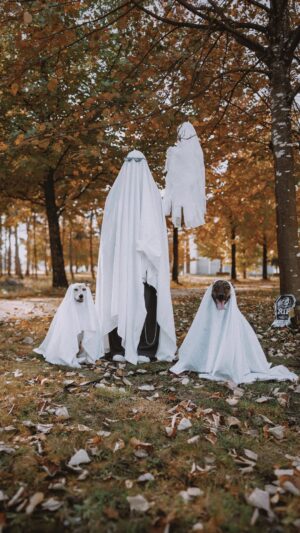 Joana Gentil Instagram - Spooky Season 👻 Fizemos a sessão viral e foi meio caótico 😂 #halloween #viral #ghosttrend #ghostdog  #dogphotoshoot #ghostphotoshoot