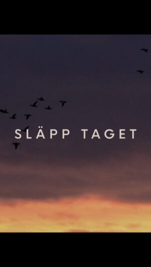 Josephine Bornebusch Instagram - Så stolt över den här lilla filmen som kommer ut den 1a Nov globalt på Netflix. Jag tror vi alla behöver släppa taget ibland. Det här projektet betyder allt för mig och jag kan inte vänta på att få höra vad ni tycker. Tack alla inblandade framför och bakom kameran. Tack @netflixnordic för att ni gjorde detta möjligt.