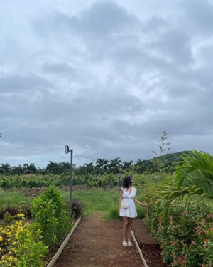 Kamya Ahlawat Instagram - the solace high of sula pastures 🍀