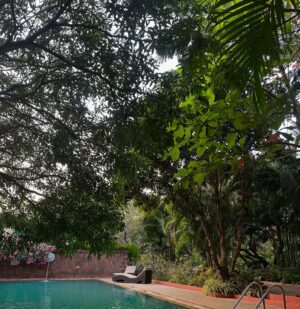 Karishma Kotak Instagram - Goa 🌴 🫶🏻 for a min
