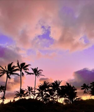 Katrina Bowden Instagram - Things I never posted from 5 weeks spent barefoot on Oahu🌺