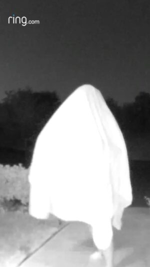 Katrina Weidman Instagram - Want to win $100,000?! Keep reading 👇

One of the interesting things about being a paranormal investigator is that I get to see how the advancement of technology can help our field.

With how accessible cameras have become the last few years, I get tons of DMs and emails from all over the world of strange video footage people have captured on their @ring cameras! #ad #ringghostsearch

Even Ring customers are sending them footage of unexplained activity! Ring sent me a few of their clips and Yes- some of them are weird! 

I’m so excited to announce that I’m teaming up with Ring for their Great Ghost Search!

From now until 11/1 if you capture paranormal activity on your Ring camera- this can be real and genuine or a spoof or skit (my inner theatre nerd is beaming) you could win $100,000!!!!!!!

I’ll be serving as a judge to help select the winning video 👻

Click the link in my bio for info on Rings Great Ghost Search and how you can win $100,000! 

No pur nec. 50 US/DC, 18 /age of maj. Ends 11/1/24 or when 5,000 entries are received. See Rules link in bio.

#ad #ringghostsearch #haunted #paranormal #ghost #halloween