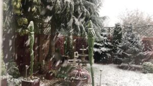 Kim Woodburn Instagram - It’s snowing!! ❄️❄️⛄️
