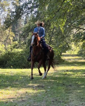 Kimberley Sustad Instagram - Let’s Ride…
Tonight on @hallmarkchannel 🐴

Thank you to all of you who show up to watch these movies. It’s because of you that we get to make them. I am deeply grateful for you all.✨

Thank you @lauragainesanewname, @jcallahan2518 and @mrsjp24 for helping me realize my horsey dream and @terryjohningram for directing this beautiful movie. @official.james.denton you created an incredible story with Laura Olsen, thank you both for your gifts. And @vtownbrown you are a force that made this happen. So many people poured into this it’s impossible to name them all but thank you to our amazing crew. 🙌🏻

To our incredible cast…getting to be a family with you has been one of my greatest highlights. You are all so dang talented. To @thelucasbryant…you were ok. 😉Thank you. 

Now Enjoy❤️