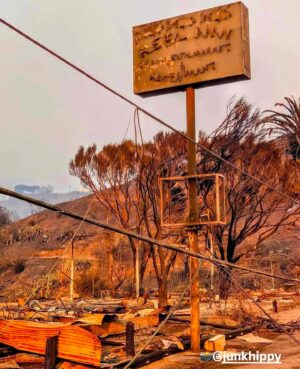 Kimberly Daugherty Instagram - @reelinnmalibu ❤️‍🩹. Where @brantdaugherty and I had our first real date… I made a dumb joke and ordered the “halibut just for the halibut,” and I think that’s when he fell in love with me…. Just one of too many devastating losses… #lawildfires #losangeles