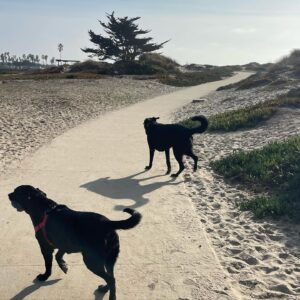 Kimberly McCullough Instagram - All is full of love. Bye bye 2024 #yourdailyjack