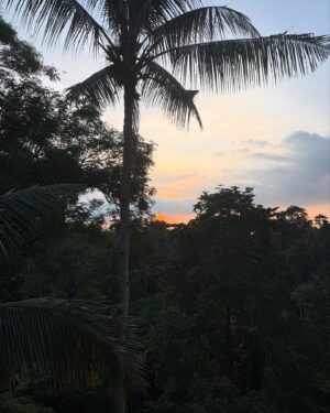 Kritika Kamra Instagram - January’s over and nothing much has changed. I’m still posting holiday pictures weeks after, being picky about who/what gets my attention and still chasing sunsets, art and good food.
Feels like a lot has happened this year already, in a good way. And I’m in no rush to share 🙃