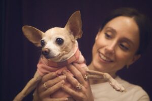 Lauren Lopez Instagram - Happy Gotcha Day to our most precious angel. She is the love of our lives and our entire reason for existing🥰🥰🥰which definitely comes out in a chill, non-smothering way on my part 🥰🥰🥰🥰 if she was a human she would be entirely fucked up from our codependence/enmeshment but she’s not! She’s a dog! Great news for me and my issues!!!! We love her so fucking much it’s actually insane.

Not to scare you, but legally you have to look at every pic in this post. Don’t skip any!!!!!!!! Confirm that you looked!!!!! #rescuedogsofinstagram #rescue #chihuahua #clowns #adoptdontshop