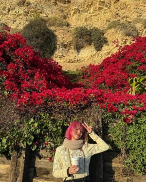 LiSA Instagram - Thank you North America Tour❤️‍🔥💐
お誕生日食べたいケーキ屋さんアメリカにたくさんあって困ってる🧁
6月は毎日違うお店のケーキかなぁー！笑🧁🍰🎂

【LiVE】
"LiSA–ANOTHER GREAT DAY North America Headline Shows 2025" Thank you for selling out! There are only a few tickets left for the performance, so please check it out🎫

▽Schedule
6/18: Terminal 5 - New York
6/19: Terminal 5 - New York✴︎
6/24: YouTube Theater – Los Angeles✴︎
6/28: Pepsi Center - Mexico City

https://www.sma.co.jp/s/sma/music/lxixsxa_us

#LiSA_NATOUR