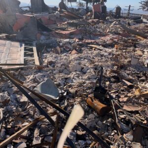 Lorraine Toussaint Instagram - Today my heart goes out to all the survivors of the LA fires, I send you my love and my prayers. I lost my home in the Woolsey Fire a few years ago. Please. Please. Evacuate as soon as possible! You can and will survive this unbearable loss. I promise. Be safe. Hold each other dear. And hang on!!! God bless the firefighters and emergency workers who are tirelessly working around the clock. ❤️