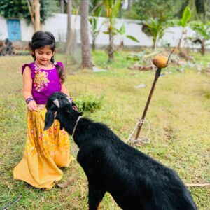 Madhu Reddy Instagram - అందరికీ సంక్రాంతి శుభాకాంక్షలు💐🙏🏻 @purvikaareddy @madithatikrishnakishore 

#insta #instagram #festival #telugu #festivals #festivaloutfit #festivalseason #teluguactress #saree #sareelover #sareelovers #sareecollection #sareestyle #sankranti #rajmundry #viralpost #feed #reach #trending #festivalvibes #telugupanduga #sankratispecial #reach #reaching #reachpost