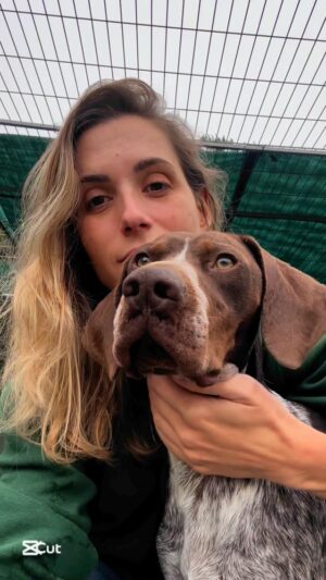 Mafalda Rodiles Instagram - ADOTADO ♥️ Hoje vim da @uppa_animais de lágrimas nos olhos… 
Fui lá de propósito para ver de novo o TWIX que é um braco alemão de 1 ano e de tamanho pequeno. 
Está no abrigo há pouco tempo e foi encontrado a vaguear, provavelmente foi abandonado por não servir para a caça. 

É um cão especial, visito muitos abrigos, conheço muitos cães e não tenho dúvidas do que estou a dizer. 

É um cão que precisa de amor e de um lar. Claro que muitos outros também, mas a família que o escolher terá ganho a lotaria. 

Aninhou-se no meu colo, só queria carinho, trouxe me o seu brinquedo favorito e esta foi só a 2a vez que me viu… 
Dá-se bem com cães e cadelas e nem sequer é ciumento. É mesmo um cão bom 🐶

Todas as cadelinhas bebés que estavam na @uppa_animais foram adotadas, os adultos continuam lá, à espera que lhes saia a sorte grande 🍀

Se quiseres ir conhecer o TWIX manda-me msg 😉

TWIX se para a semana ainda não tiveres uma família prometo que te levo à praia 🙏🏻

#adotenaocompre