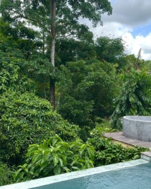 Mariana Wengorovius Instagram - in the middle of the jungle 🌿🦋🌀
.
staying in @oleavillasresort