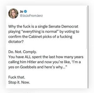 Martha Plimpton Instagram - I’d like to understand this as well, @sentimkaine, @johnfetterman, @elissa.slotkin, @jeanneshaheen , @andykimnj WHY DID I GIVE TO SOME OF YOUR CAMPAIGNS? #fucktrump #nazissuck #fuckproject2025 #donotcomply Did you learn nothing from the master #underminer @leadermcconnell? Why are you making ANYTHING easier for this criminal? #explainyourself We don’t need your showboating during #hearings, we need your integrity during the #VOTES. HELLO. TY @jojo.fromjerz