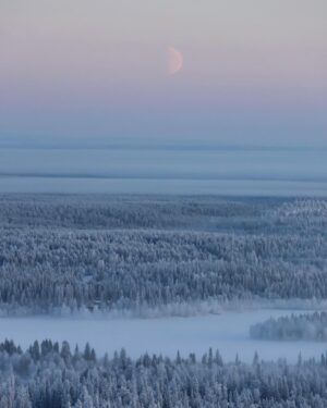 Meeri Koutaniemi Instagram - The light of January in our hometown Kuusamo. This is where we grew up. 💙

#kotiseutu #kuusamo
