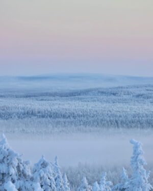 Meeri Koutaniemi Instagram - The light of January in our hometown Kuusamo. This is where we grew up. 💙

#kotiseutu #kuusamo