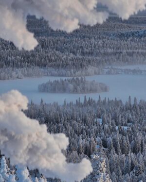 Meeri Koutaniemi Instagram - The light of January in our hometown Kuusamo. This is where we grew up. 💙

#kotiseutu #kuusamo