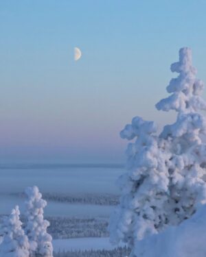 Meeri Koutaniemi Instagram - The light of January in our hometown Kuusamo. This is where we grew up. 💙

#kotiseutu #kuusamo