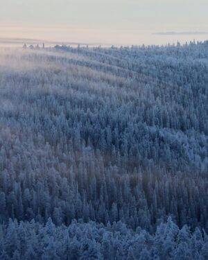 Meeri Koutaniemi Instagram - The light of January in our hometown Kuusamo. This is where we grew up. 💙

#kotiseutu #kuusamo