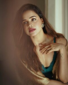 Actress Mehtab Mirza HD Photos and Wallpapers December 2024
