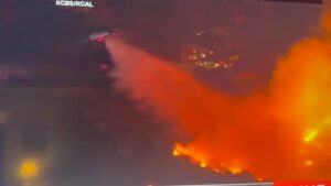 Mia Farrow Instagram - Immeasurable gratitude for our wonderful neighbors!! Mexico and Canada have sent their firefighters their armies to help us battle the fires