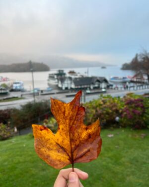 Monika Panwar Instagram - Mama,i'm not coming home!

@thebelsfieldhotel
@windermerelakecruises
 @lakesiderailway
@lakedistrictcumbria 
@lovegreatbritain