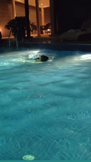 Mridanjli Rawal Instagram - Water therapy ♥️🏊‍♀️
:
#instagood #jwmarriott #bengaluru #swimlife #waterbaby #india #therapy #whattodoinbengaluru #therapy #watertherapy