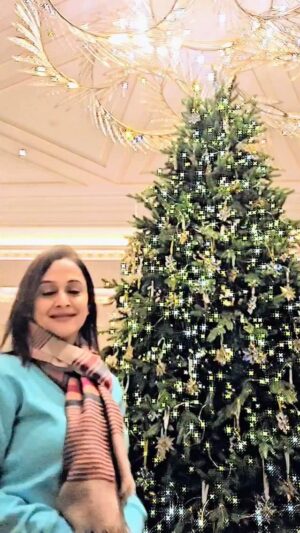 Mrinal Kulkarni Instagram - Merry Christmas 🎄!!!