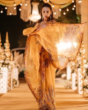 Naila Grrewal Instagram - Serving toasted caramel vibes with a side of frozen feet! 🍮🥶 
Classic Delhi winter wedding scenes! 🧚🏼‍♀️

Wearing: @mahimamahajanofficial @mahima9 
Styled by: @namrata.deepak_ 
Photos: @weddingflix.in @shiivamkashyap02 
.
.
.
.
.
.
#photooftheday #photography #wedding #ootd #saree #festive #tuesday #mood #nailagrrewal