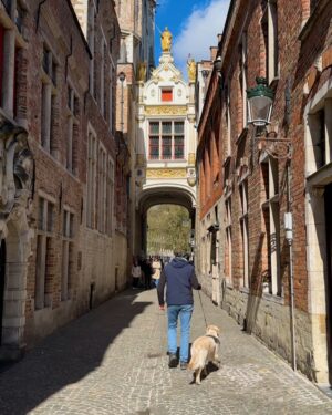 Nandini Sree Instagram - Stories from Bruges ⛵️

#summer2024 #belgium #summergetaway #europe #fyp #bruges #girlstrip