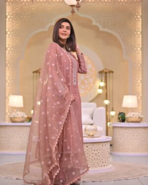 Nida Yasir Instagram - @hafsamalikofficial