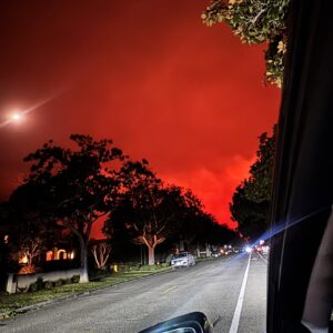Nyesha Arrington Instagram - If anyone needs any help in the Santa Monica area please let me know- my home has not been evacuated yet. For now, I'm going to do what brings me the most joy which is cook. Will make a big pot of soup if anyone needs a warm meal.. 🫶🏾

@dogppl has a link to foster dogs that have been displaced 
@wckitchen is in the area as well 
@petitgrainboulangerie will be also baking in relief efforts- so please let us know if you need bread 

Thank you for everyone checking in on us 🙏🏾 Stay safe fam