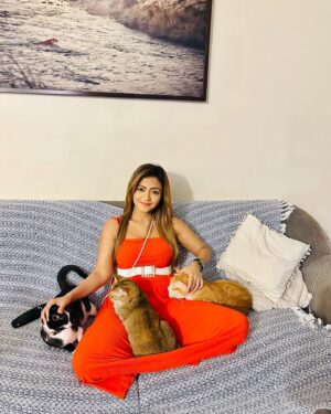 Pariva Pranati Instagram - Cats will mess up your house… scratch everything… break every lamp… but they will align your soul… and shower so much love ( as per their convenience;) that your world will feel just perfect… 

#catsofinstagram #catlover #cat #catlovers #catoftheday #catloversclub #love #happy #happiness #bliss #soul #blessings #actor #actorslife #parivapranati #perfect #animal #animals #animallovers