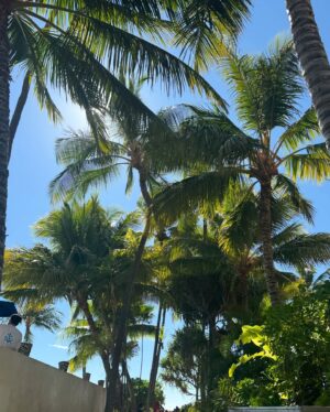 Park Ji-hyo Instagram - Hawaii🌺