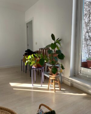 Paula Usero Instagram - Bienvenidas al recap 2024, part 1. 
Este año pasaron muchas cosas. 
Lo empecé en la ciudad donde nací, me cambié de casa, cambié de status civil, decoré 50 metros y compré muchos muebles. Mi vecindario nuevo me gusta, pero pago mucho por mi alquiler y eso me gusta menos. Quiero tener mi propia casa, pero no tengo suficientes ahorros y tampoco sé dónde buscar porque lo de elegir siempre se me dio regular. Soy madre gatuna soltera a tiempo completo. Eso también cambió. Trabajé mucho. Viví uno de los mejores veranos que puedo recordar de adulta. Viajé mucho. He ido mucho al mar. He comido muchas cosas ricas. He bailado más que en toda mi vida y he reído a partes iguales. He sentido a mis amigos y amigas mucho más cerca. He sentido mucho, muy potente, muy intenso. Eso ha sido increíble . He vuelto a mimarme mucho. He respetado mis tiempos y he intentado estar en calma. Me he hecho tatuajes y me he quitado otros, porque así soy a veces. He visto muchísimas golden hours que me han cambiado la cara de color durante mucho rato. He escuchado mucha música y he quemado mucho palosanto. He cumplido la edad de Cristo pero siento que soy más joven que nunca, también creo que soy una tía chulisima y nunca antes lo había pensado. Me he dado cuenta de las cosas que me gusta hacer, y de las que me gustaría. He hecho un vissionboard y si lo cumplo puede ser un nuevo año bastante épico.  Este, por lo pronto, terminará en otra ciudad de otro país. 
Y seguramente tomaré lentejas y gelatto, y veré fuegos artificiales y mientras pensaré en todas estas cosas buenas que me han pasado este año por atreverme a ser valiente. Porque está bien querer romper con cosas que sientes que ya no te hacen bien, y perderte y sentir que nada tiene sentido, pero de repente sí.
Gracias a quienes estuvieron y marcharon. A los que fueron sostén, y a los que llegaron de casualidad y se quedaron💛🧡
