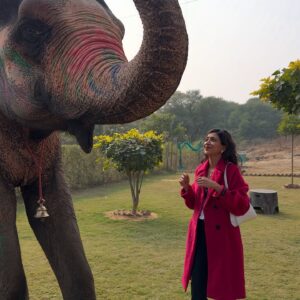 Plabita Borthakur Instagram - I had a wonderful experience meeting Rajkumari. Thank you, @elephant_activity_jaipur! Growing up in Assam, I often visited Kaziranga National Park with my family and saw elephants in their natural habitat. However, I never had the chance to interact with them up close. This time, I had the joy of patting, hugging, and feeding Rajkumari. She was incredibly loving and humble- it was an unforgettable experience! 
💛💛💛
.
.
.
.
.
.
.
.
.
#plabitaborthakur #elephant #elephants #wildlife #animallove #jaipur #jaipurdiaries #nature #happiness #life #love