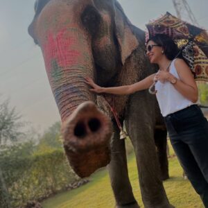 Plabita Borthakur Instagram - I had a wonderful experience meeting Rajkumari. Thank you, @elephant_activity_jaipur! Growing up in Assam, I often visited Kaziranga National Park with my family and saw elephants in their natural habitat. However, I never had the chance to interact with them up close. This time, I had the joy of patting, hugging, and feeding Rajkumari. She was incredibly loving and humble- it was an unforgettable experience! 
💛💛💛
.
.
.
.
.
.
.
.
.
#plabitaborthakur #elephant #elephants #wildlife #animallove #jaipur #jaipurdiaries #nature #happiness #life #love