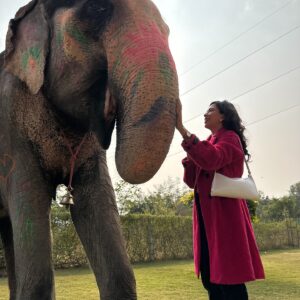 Plabita Borthakur Instagram - I had a wonderful experience meeting Rajkumari. Thank you, @elephant_activity_jaipur! Growing up in Assam, I often visited Kaziranga National Park with my family and saw elephants in their natural habitat. However, I never had the chance to interact with them up close. This time, I had the joy of patting, hugging, and feeding Rajkumari. She was incredibly loving and humble- it was an unforgettable experience! 
💛💛💛
.
.
.
.
.
.
.
.
.
#plabitaborthakur #elephant #elephants #wildlife #animallove #jaipur #jaipurdiaries #nature #happiness #life #love