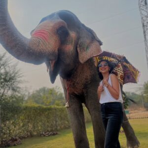 Plabita Borthakur Instagram - I had a wonderful experience meeting Rajkumari. Thank you, @elephant_activity_jaipur! Growing up in Assam, I often visited Kaziranga National Park with my family and saw elephants in their natural habitat. However, I never had the chance to interact with them up close. This time, I had the joy of patting, hugging, and feeding Rajkumari. She was incredibly loving and humble- it was an unforgettable experience! 
💛💛💛
.
.
.
.
.
.
.
.
.
#plabitaborthakur #elephant #elephants #wildlife #animallove #jaipur #jaipurdiaries #nature #happiness #life #love