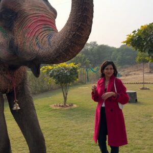 Plabita Borthakur Instagram - I had a wonderful experience meeting Rajkumari. Thank you, @elephant_activity_jaipur! Growing up in Assam, I often visited Kaziranga National Park with my family and saw elephants in their natural habitat. However, I never had the chance to interact with them up close. This time, I had the joy of patting, hugging, and feeding Rajkumari. She was incredibly loving and humble- it was an unforgettable experience! 
💛💛💛
.
.
.
.
.
.
.
.
.
#plabitaborthakur #elephant #elephants #wildlife #animallove #jaipur #jaipurdiaries #nature #happiness #life #love