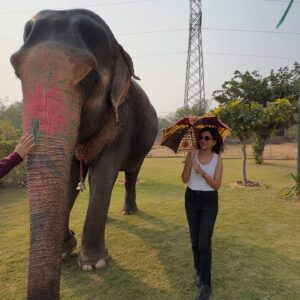 Plabita Borthakur Instagram - I had a wonderful experience meeting Rajkumari. Thank you, @elephant_activity_jaipur! Growing up in Assam, I often visited Kaziranga National Park with my family and saw elephants in their natural habitat. However, I never had the chance to interact with them up close. This time, I had the joy of patting, hugging, and feeding Rajkumari. She was incredibly loving and humble- it was an unforgettable experience! 
💛💛💛
.
.
.
.
.
.
.
.
.
#plabitaborthakur #elephant #elephants #wildlife #animallove #jaipur #jaipurdiaries #nature #happiness #life #love
