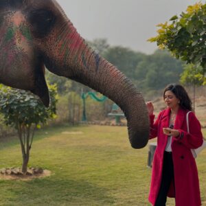 Plabita Borthakur Instagram - I had a wonderful experience meeting Rajkumari. Thank you, @elephant_activity_jaipur! Growing up in Assam, I often visited Kaziranga National Park with my family and saw elephants in their natural habitat. However, I never had the chance to interact with them up close. This time, I had the joy of patting, hugging, and feeding Rajkumari. She was incredibly loving and humble- it was an unforgettable experience! 
💛💛💛
.
.
.
.
.
.
.
.
.
#plabitaborthakur #elephant #elephants #wildlife #animallove #jaipur #jaipurdiaries #nature #happiness #life #love