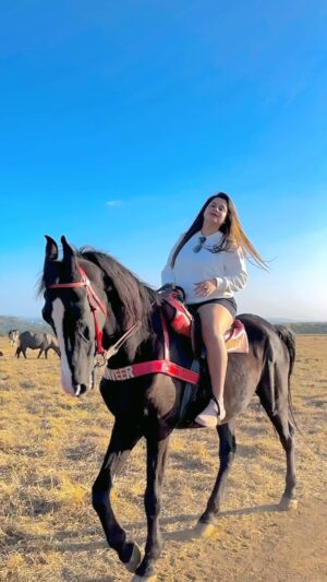 Rachana Singh Instagram - Khuda Gawaah 🥰🐎🐎🏇🏻🏇🏻🍀⭐️✨💚💚❤️❤️