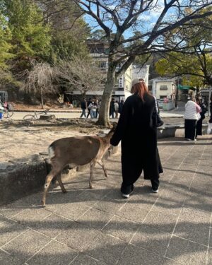 Riho Sayashi Instagram - 🍁🍁🦌⛩️